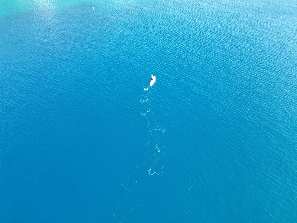 SUP