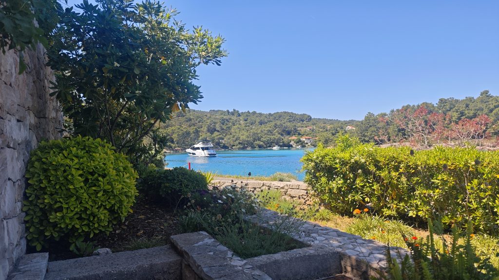 Blick vom Garten 
